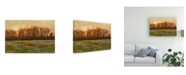 Trademark Global Michael Budden Sundown Flat Green Landscape Canvas Art - 20" x 25"